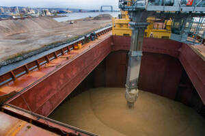 ���� ����������� ������ ����� �������� �������� �������