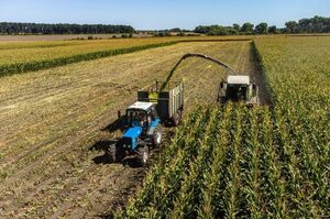 ���� ���� ��������� ������-2026 � ���� ��������� ����