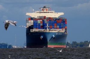 ����������� ������������� ������ ����� ������������ ����� �������� �������� �������