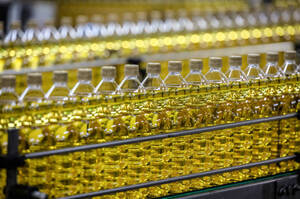 Україна наростила експорт соняшникової олії до максимуму сезону Україна наростила експорт соняшникової олії до максимуму сезону