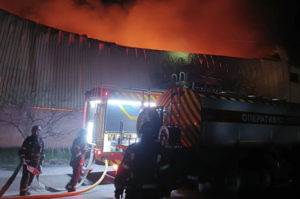 ���� ��������� ����������������: ������� 11-����� �������