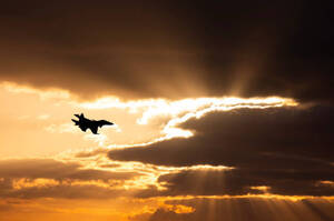 �� ��������� ������ 110 �������: �������� �����