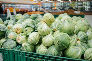 Ціни на капусту в Україні різко впали Ціни на капусту в Україні різко впали
