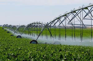 ������� ���������������� ���������� �������� �� $3000