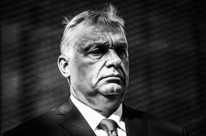 ������ ���������� � Telegram �������� �� �������� ������ � ������������ Reuters