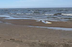 � ������� �� ����� ���� �������� ������ �����