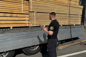 Manual Mode, Excessive Control and Lack of Professionalism: What Creates Problems in Customs-Business Interaction?