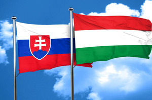 ���������� � �������� �� ���������������� ������� ������ ��� ������