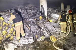 ����� ������ �� ����� �������: ����� ������� � �������� �����