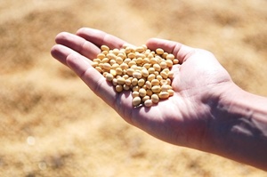 ̳��������� ������� �������� �������� �� ��������� �� �� �����