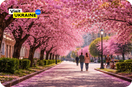 ������� ������ � ������ 2026: �� ���������� ������, �����볿, �������� �� ������ �������