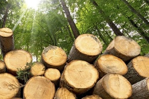 �� �˳�� ������ ���������� ��� �������� ���������� �� �������������� 2026 ����