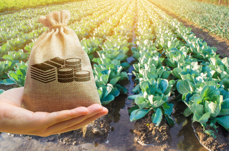 ĳ�� �������: ������, ������, ����������� � ������������ ������ ������, ��� �������� ��� � ���� ��������