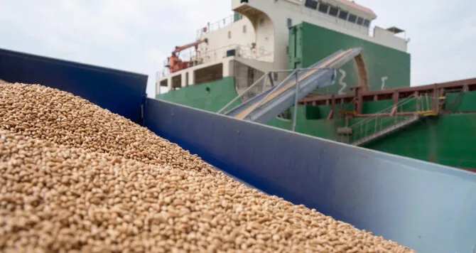 Agromino продає термінал у порту для оптимізації активів