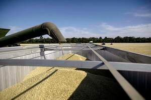 Експорт української агропродукції неминуче скоротиться – Bloomberg Експорт української агропродукції неминуче скоротиться – Bloomberg