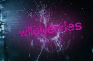 ГУР заявило про кіберудар по Wildberries, щоб «посилити ефект» ударів по складах ГУР заявило про кіберудар по Wildberries, щоб «посилити ефект» ударів по складах
