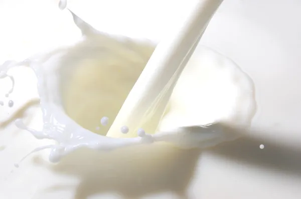Україна за вісім місяців 2026 року стала нетто-імпортером молочних продуктів Україна за вісім місяців 2026 року стала нетто-імпортером молочних продуктів