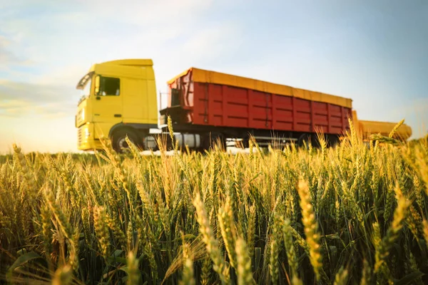 Україна експортувала 4,6 млн тонн зернових з початку маркетингового року Україна експортувала 4,6 млн тонн зернових з початку маркетингового року