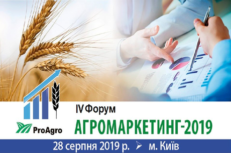IV  -2019