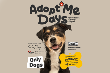 AdoptMe Days | Only Dogs AdoptMe Days | Only Dogs