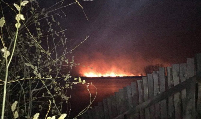 Під Києвом велика пожежа, на місце прибули пожежники (фото,відео)