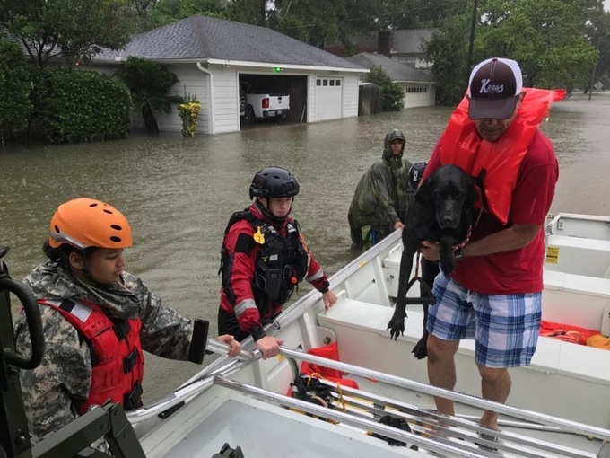 Ураган «Харві» посилюється – у штаті Луїзіана повінь затопила дороги