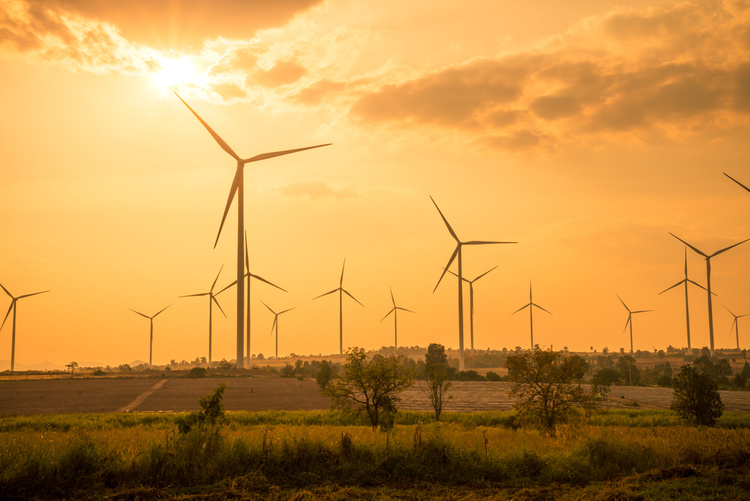 10 хороших новин: у 2018 році зелена енергетика здивує світ новими рекордами