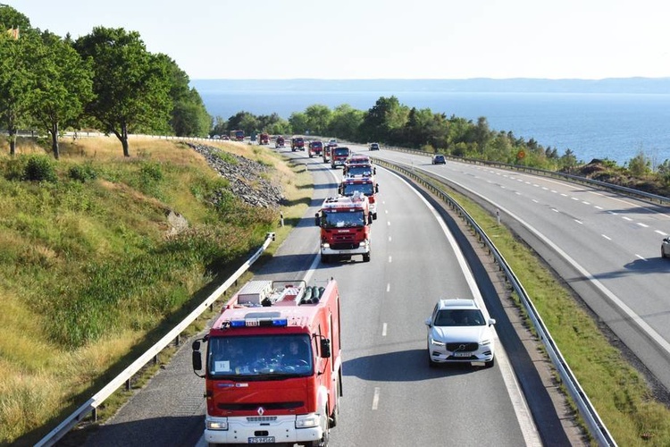 Лісові пожежі у Швеції завдали збитків на 51 млн євро