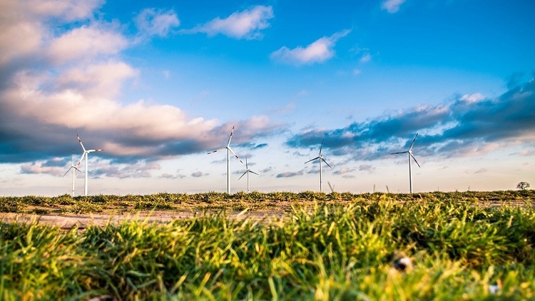 Хто 	«найзеленіший»: як передові країни Європи розвивають альтернативну енергетику