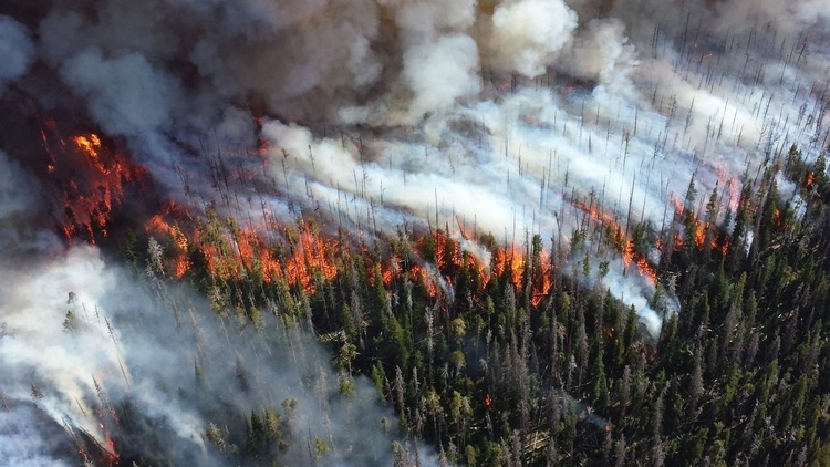 Лісові пожежі в Сибіру вплинуть на клімат по всій планеті – екологи