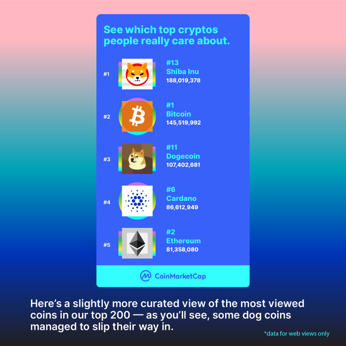Shiba Inu     2021 