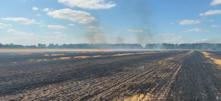 Понад 400 гектарів посівів на Дніпропетровщині згоріли через ворожі обстріли – голова ОВА
