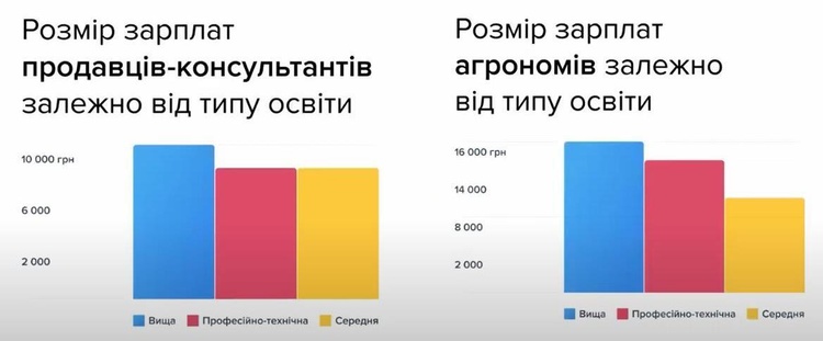 Велике дослідження: як війна вплинула на зарплати українців