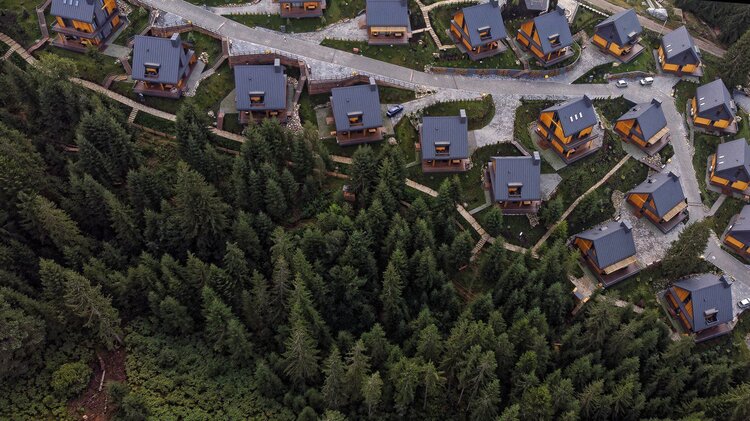 SKOGUR    :         