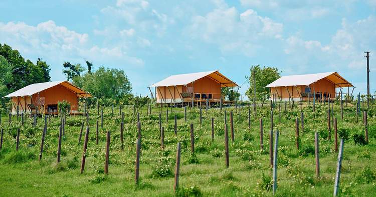 �� �������� �� �������� � ������ � 2026 ����