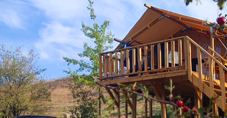 �� �������� �� �������� � ������ � 2026 ����