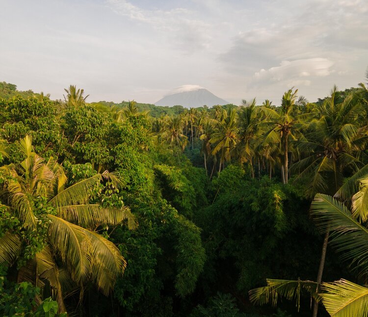 ���� ��������� ������� �� ���  �  �� ����� ������ ����� ��� ���������