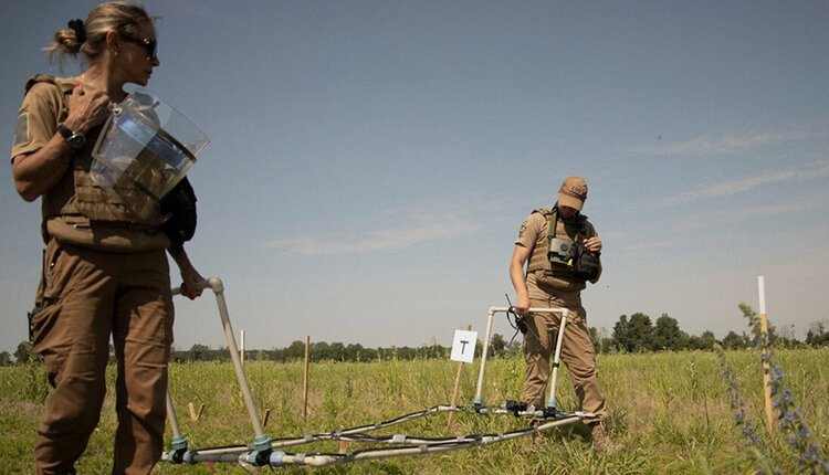 ������� ��� �������� ���: ��� �������� �������� ������ �� ������ � ��������� ��������� ��� ���� � WDS 2026