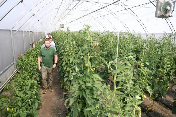 � ������������� ������ ����������� ��� ������������ � ���� U-LEAD