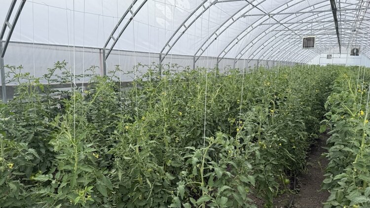 � ������������� ������ ����������� ��� ������������ � ���� U-LEAD