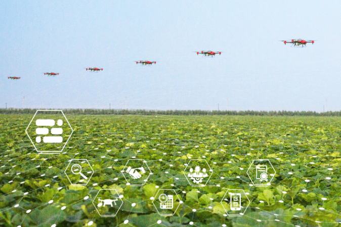 �������� ����� �� ��������� �� ����������: �� ���� ����������� ����� ��������� ���������