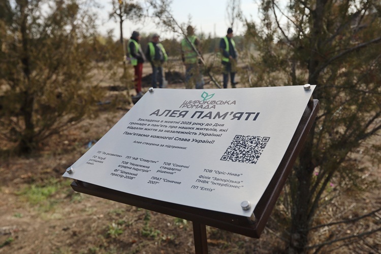 �������� ������� �������� ���� ��������� ����������� � ���� ���������� �������