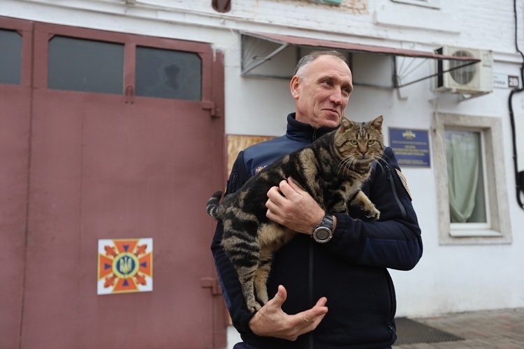 �������� ������� �������� ���� ��������� ����������� � ���� ���������� �������