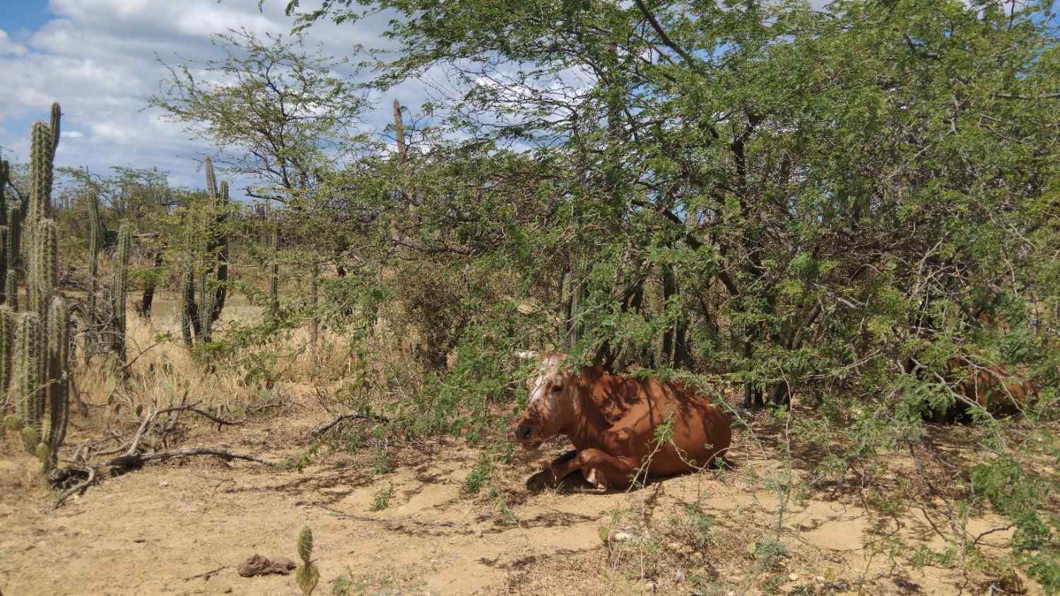 �������� ������� ������������ �������� ���������� �������� ������ � ��������� ���������������� ������������ � �������� �� ������� ���������. ���������, ��������� ����������� ���������� British petroleum ����� ��� � �������� ��������� ���� ����� ������������, � ��������� ������ �������� ��������� ���� ������ � ���������� �������� �������� �������� ������� ����� ���� ������ ������� � �������� �����쳿 ����.