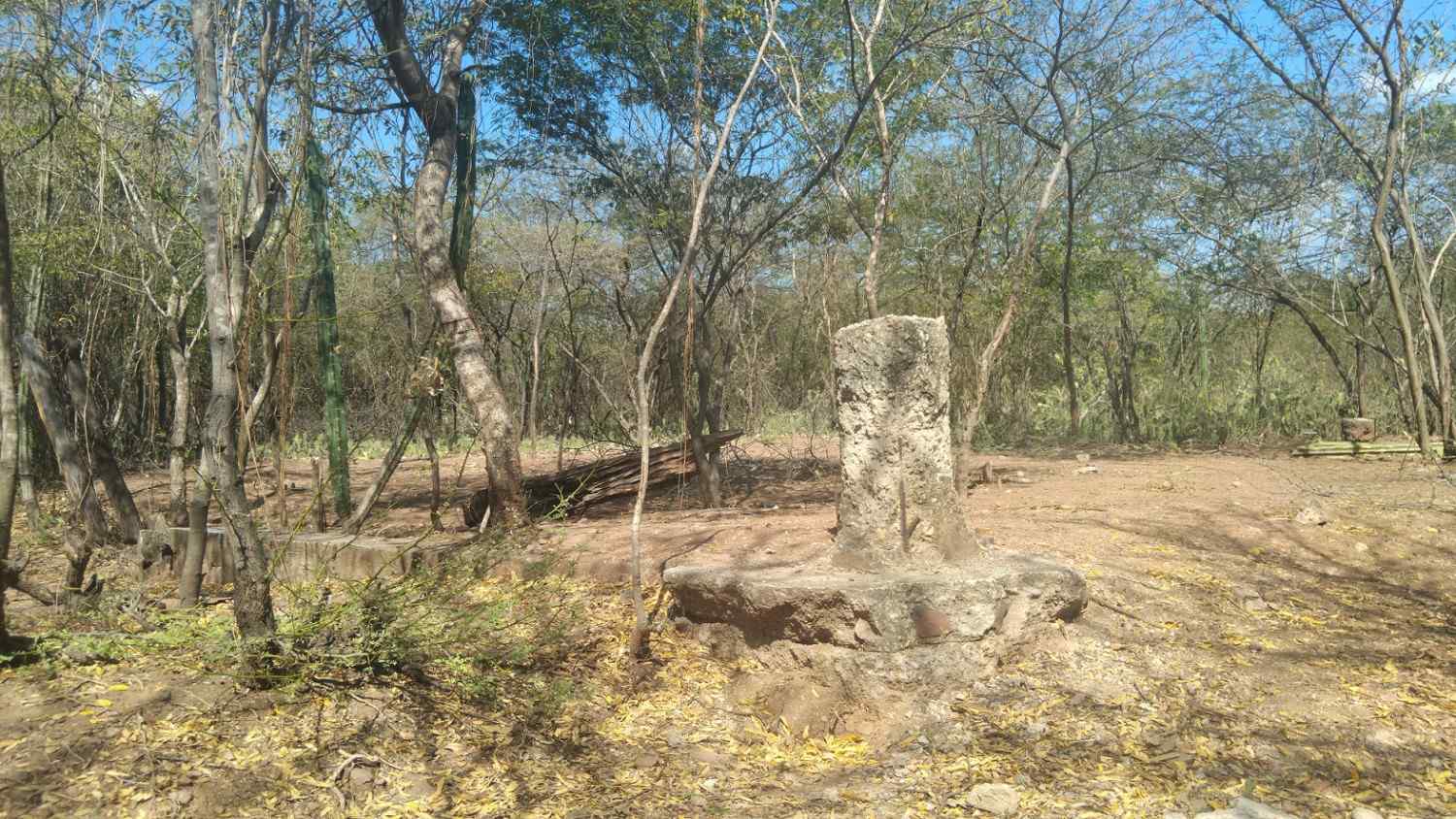 �������� ������� ������������ �������� ���������� �������� ������ � ��������� ���������������� ������������ � �������� �� ������� ���������. ���������, ��������� ����������� ���������� British petroleum ����� ��� � �������� ��������� ���� ����� ������������, � ��������� ������ �������� ��������� ���� ������ � ���������� �������� �������� �������� ������� ����� ���� ������ ������� � �������� �����쳿 ����.