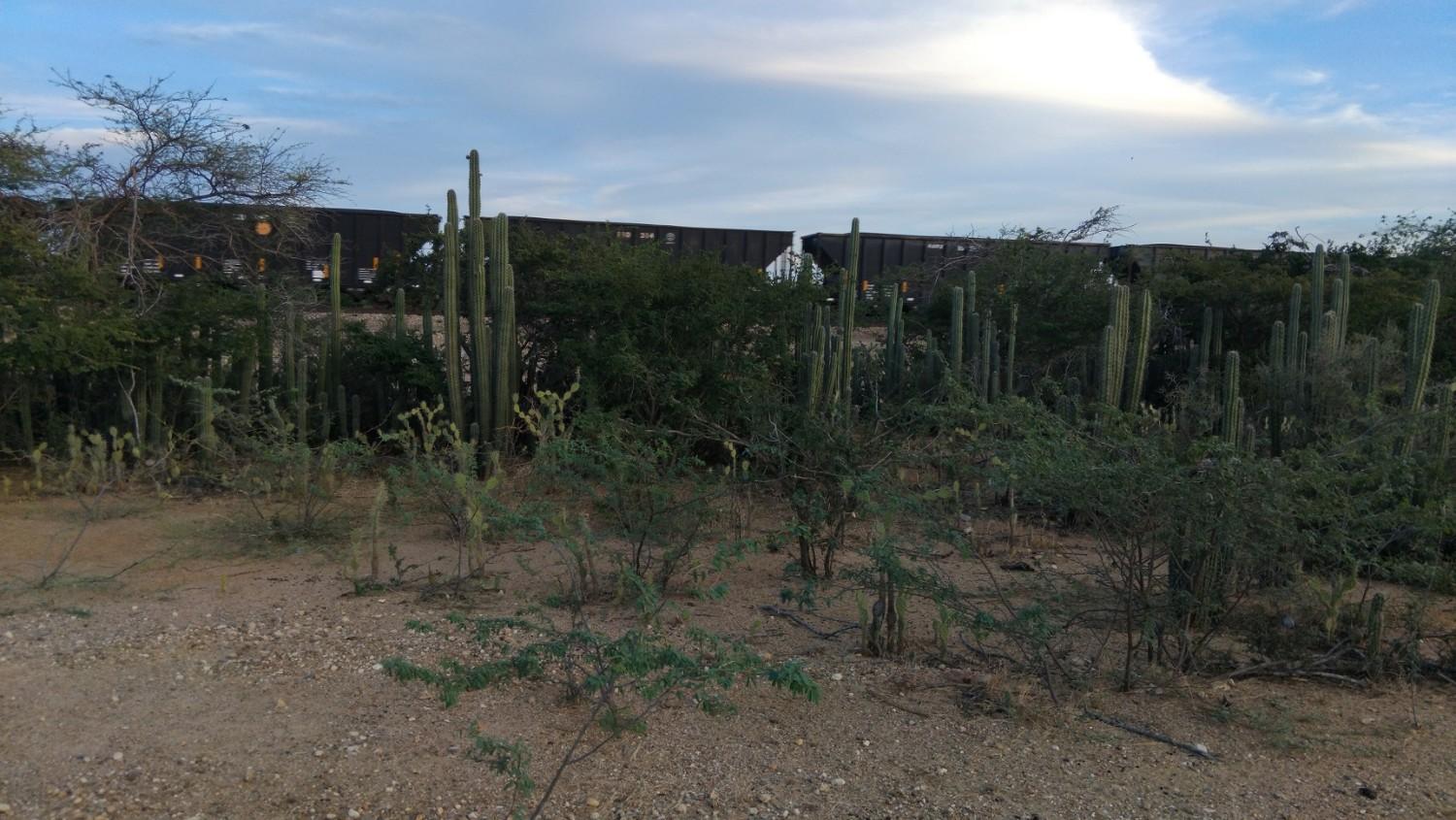 �������� ������� ������������ �������� ���������� �������� ������ � ��������� ���������������� ������������ � �������� �� ������� ���������. ���������, ��������� ����������� ���������� British petroleum ����� ��� � �������� ��������� ���� ����� ������������, � ��������� ������ �������� ��������� ���� ������ � ���������� �������� �������� �������� ������� ����� ���� ������ ������� � �������� �����쳿 ����.