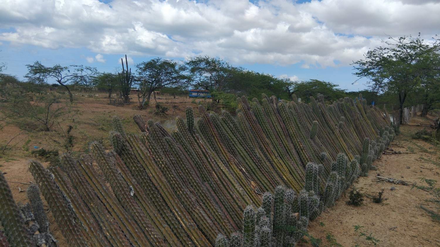 �������� ������� ������������ �������� ���������� �������� ������ � ��������� ���������������� ������������ � �������� �� ������� ���������. ���������, ��������� ����������� ���������� British petroleum ����� ��� � �������� ��������� ���� ����� ������������, � ��������� ������ �������� ��������� ���� ������ � ���������� �������� �������� �������� ������� ����� ���� ������ ������� � �������� �����쳿 ����.