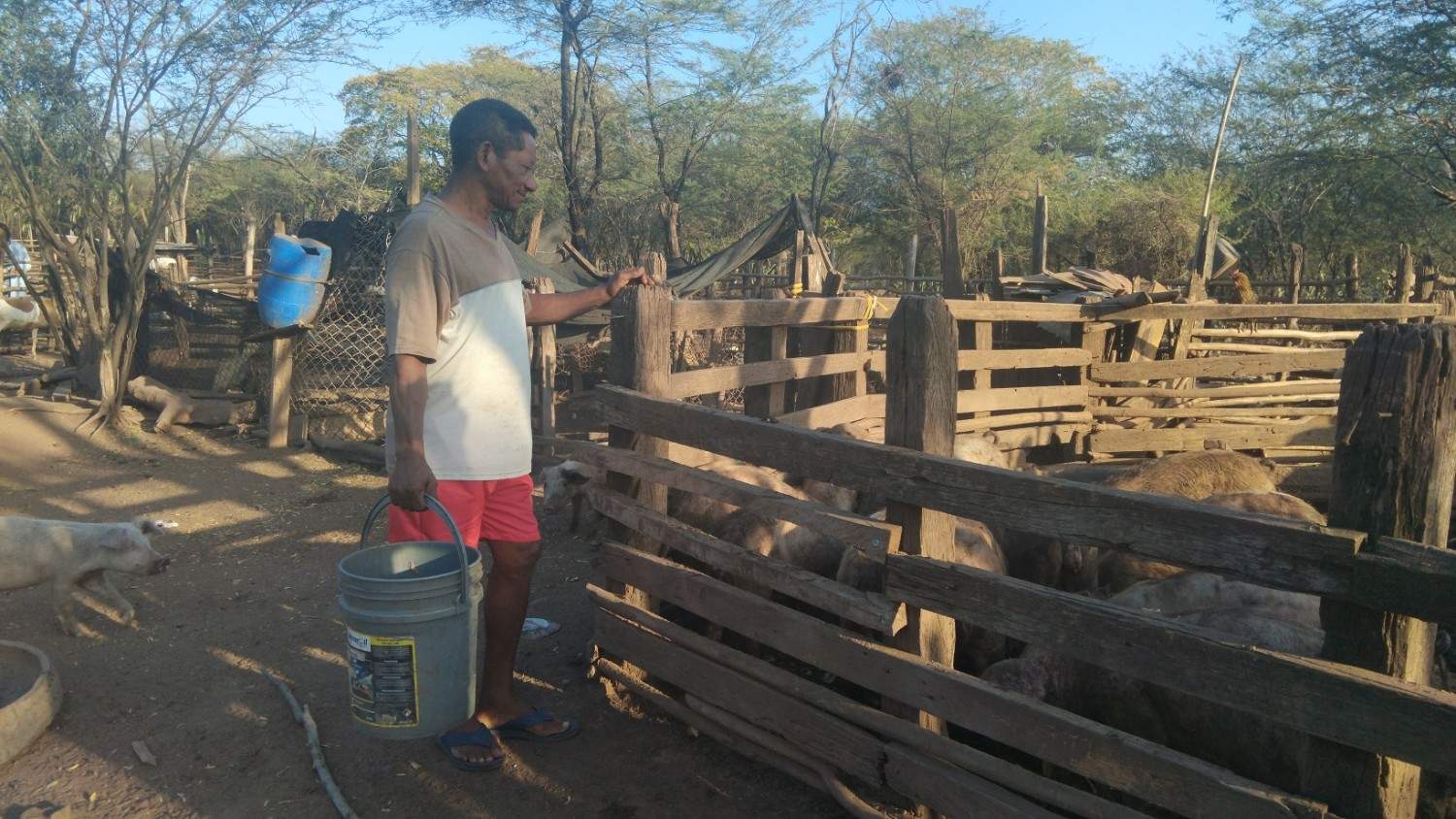 �������� ������� ������������ �������� ���������� �������� ������ � ��������� ���������������� ������������ � �������� �� ������� ���������. ���������, ��������� ����������� ���������� British petroleum ����� ��� � �������� ��������� ���� ����� ������������, � ��������� ������ �������� ��������� ���� ������ � ���������� �������� �������� �������� ������� ����� ���� ������ ������� � �������� �����쳿 ����.